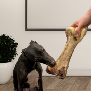 Alternative view of Jumbo Ostrich Bones