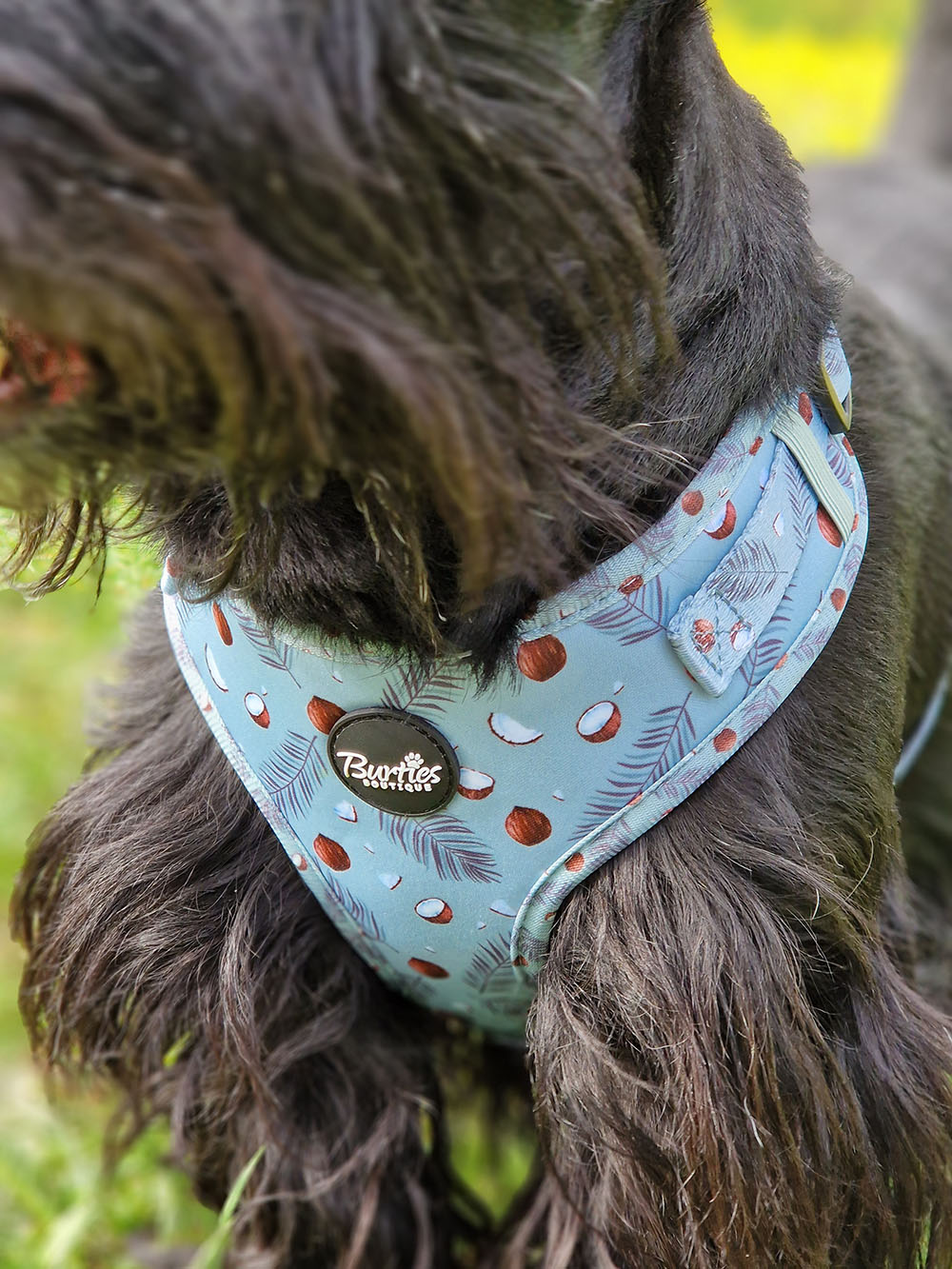 Coconut Pup Dog Harness - Image 3