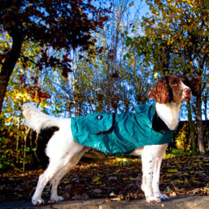 Lightweight Raincoat - Forest Green