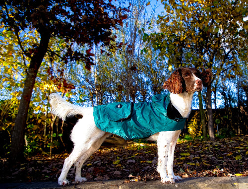 Lightweight Raincoat - Forest Green