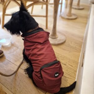 Lightweight Raincoat - Burgundy