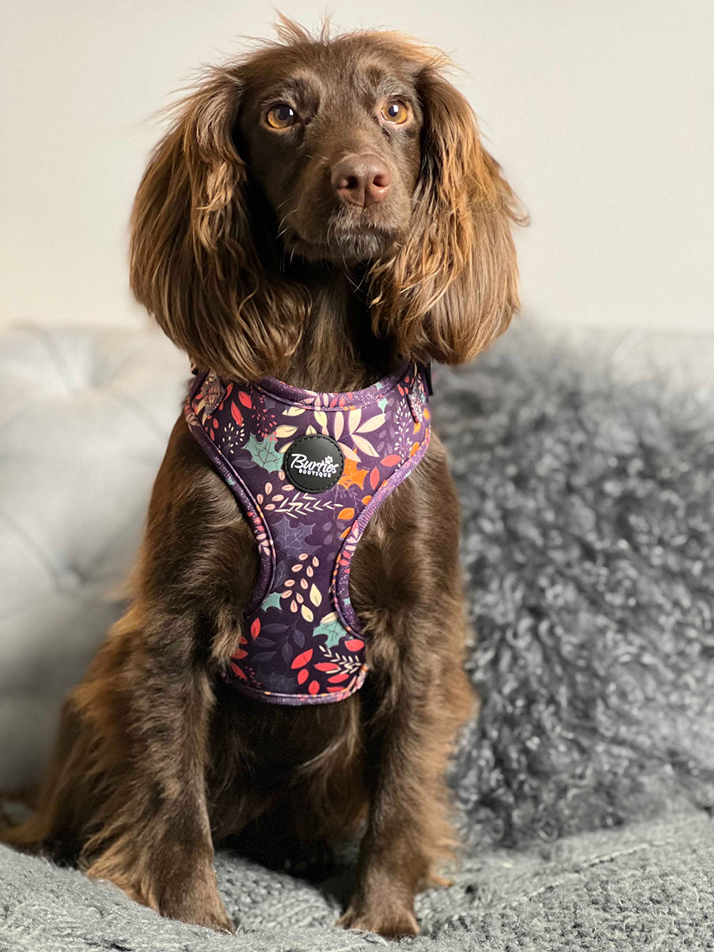 Leafy Walks Dog Harness - Image 8