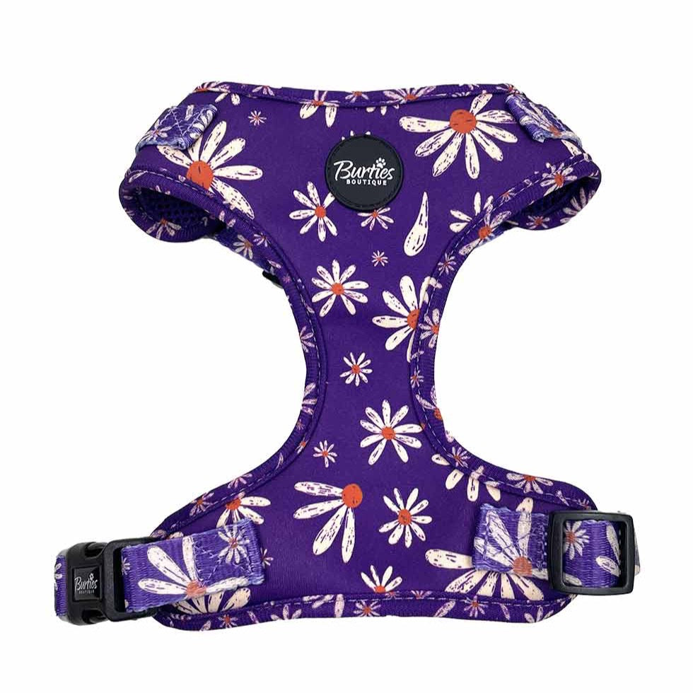Delightful Daisy Dog Harness