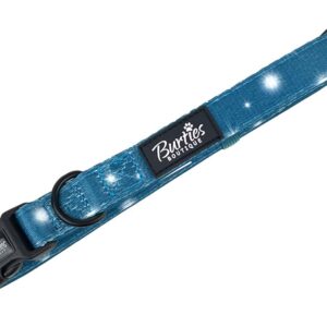 Twinkle Star Dog Collar