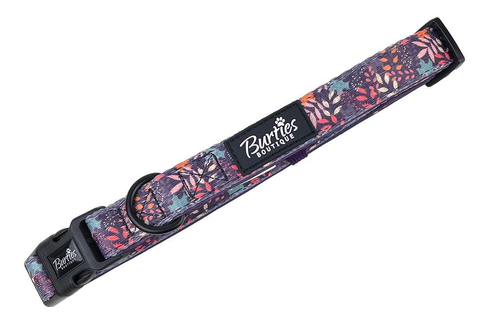 Leafy Walks Dog Collar