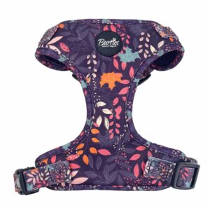 Leafy Walks Dog Harness