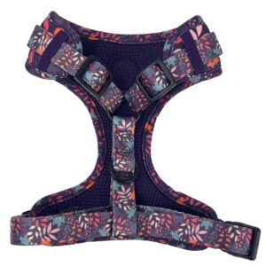 Alternative view of Leafy Walks Dog Harness