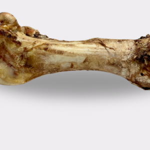 Jumbo Ostrich Bones