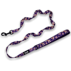 Delightful Daisy Dog Lead