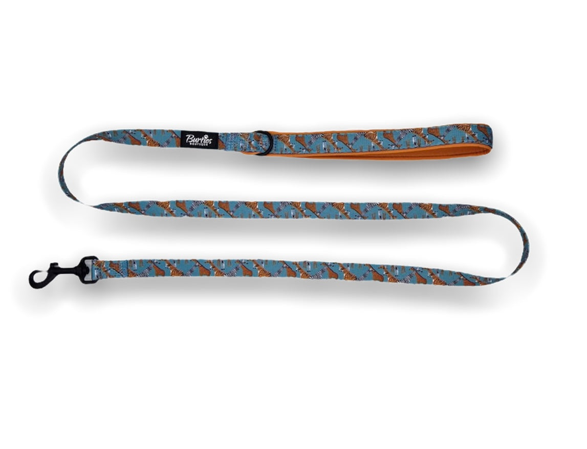Dog Leads & Collars