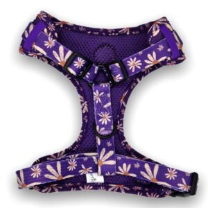 Alternative view of Delightful Daisy Dog Harness