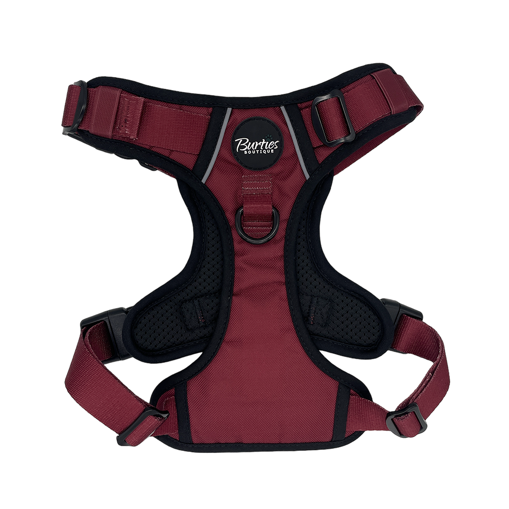 Tough Harness - Burgundy - Image 3