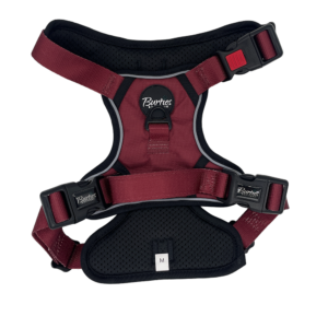 Alternative view of Tough Harness - Burgundy