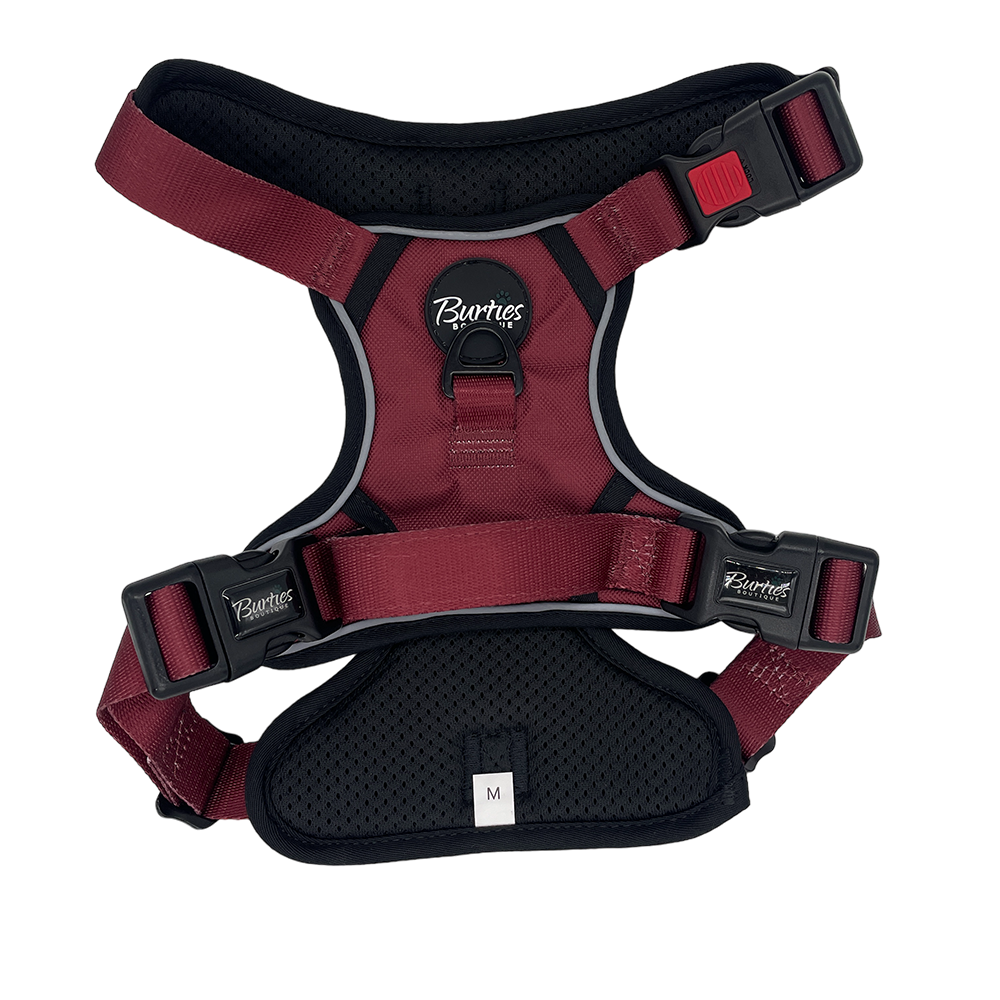 Tough Harness - Burgundy - Image 2