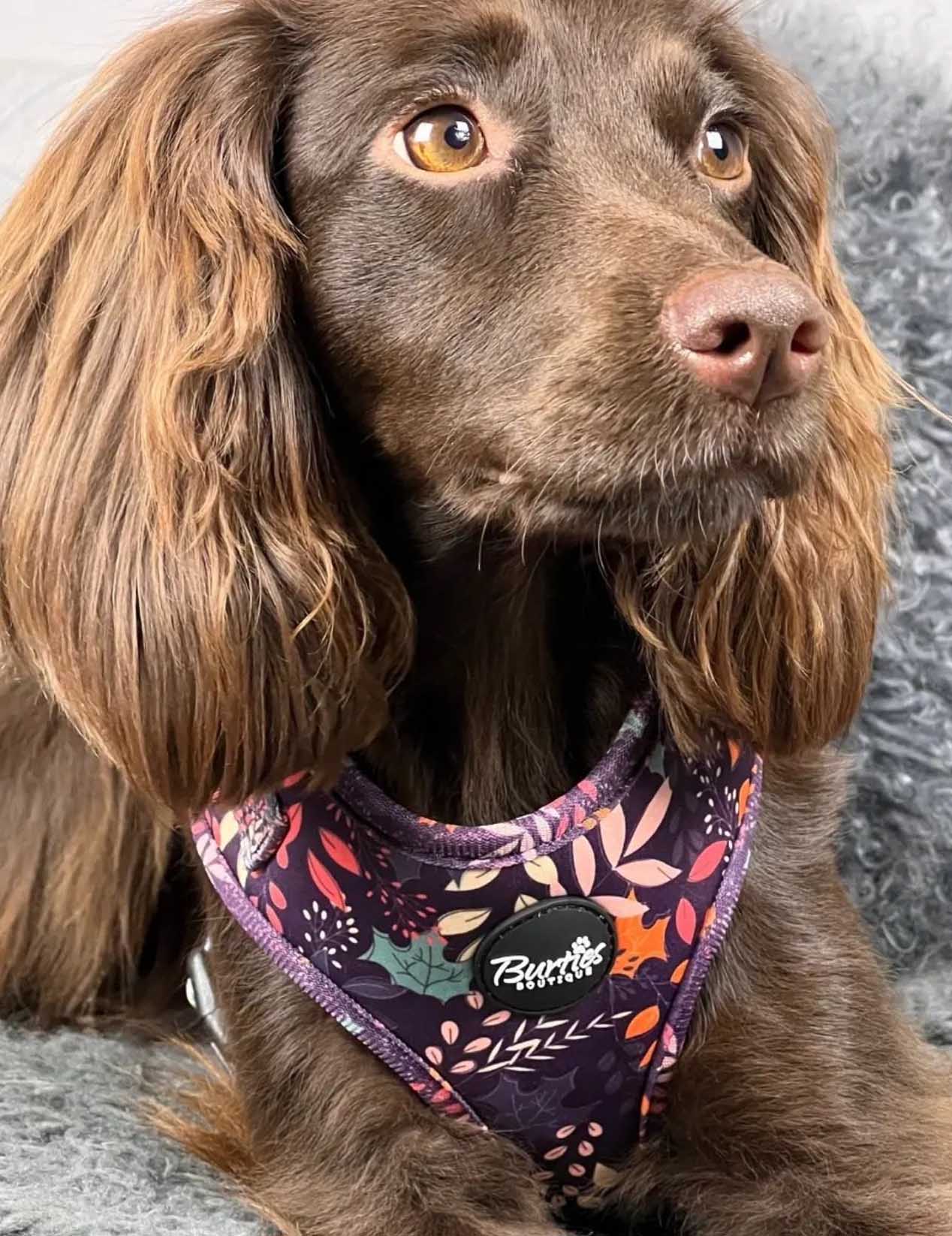 Leafy Walks Dog Harness - Image 9